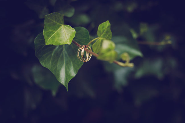 Outdoor Fotoshooting Natur